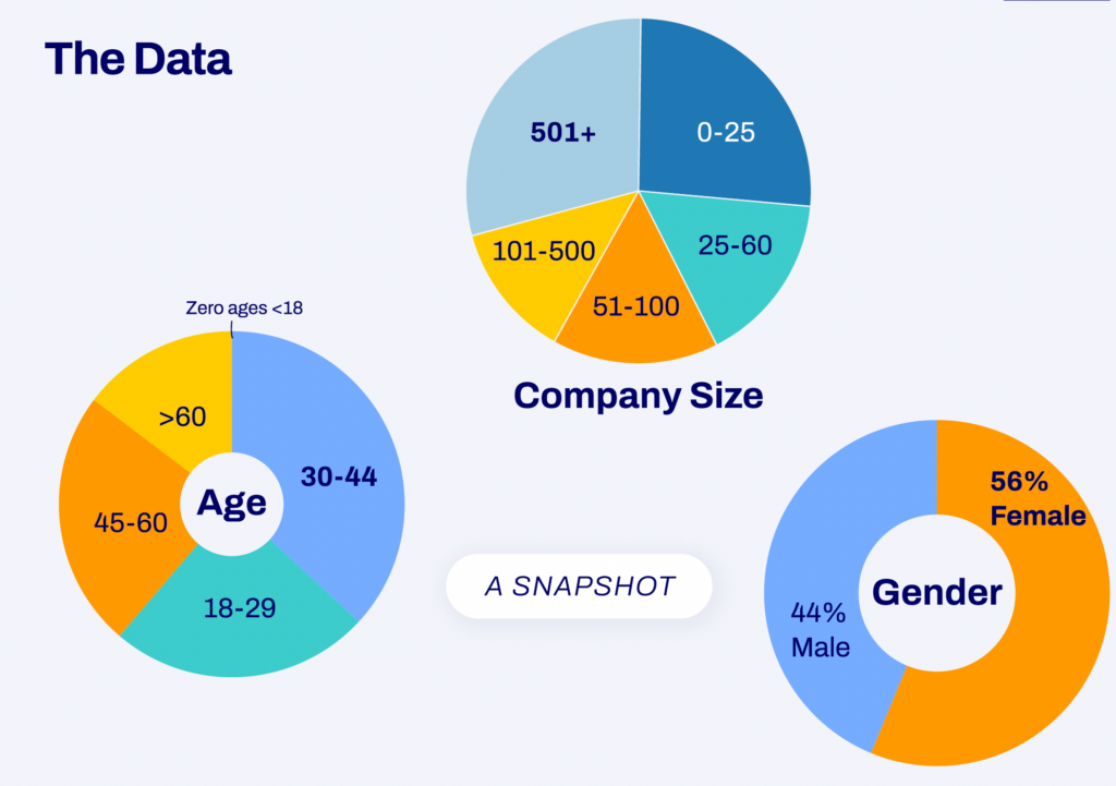 2024 State of AI Respondents